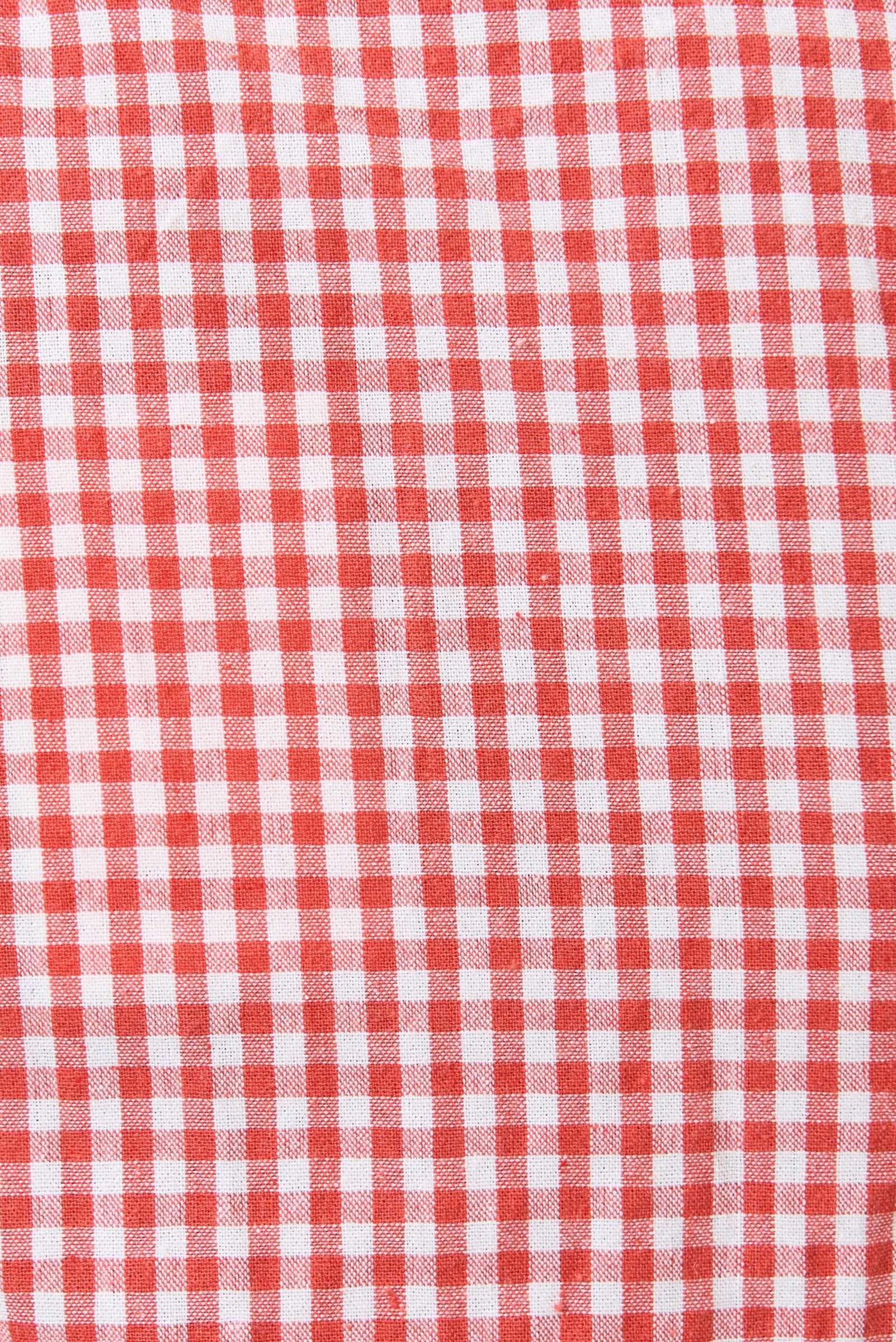 Hilton Gingham Ric Rac Trim Shorts - Red