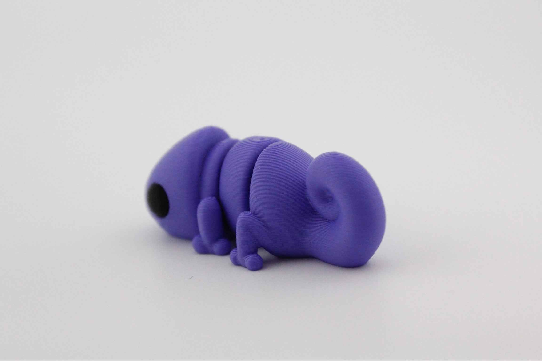 Chameleon Fidget - They may try and hide from you...