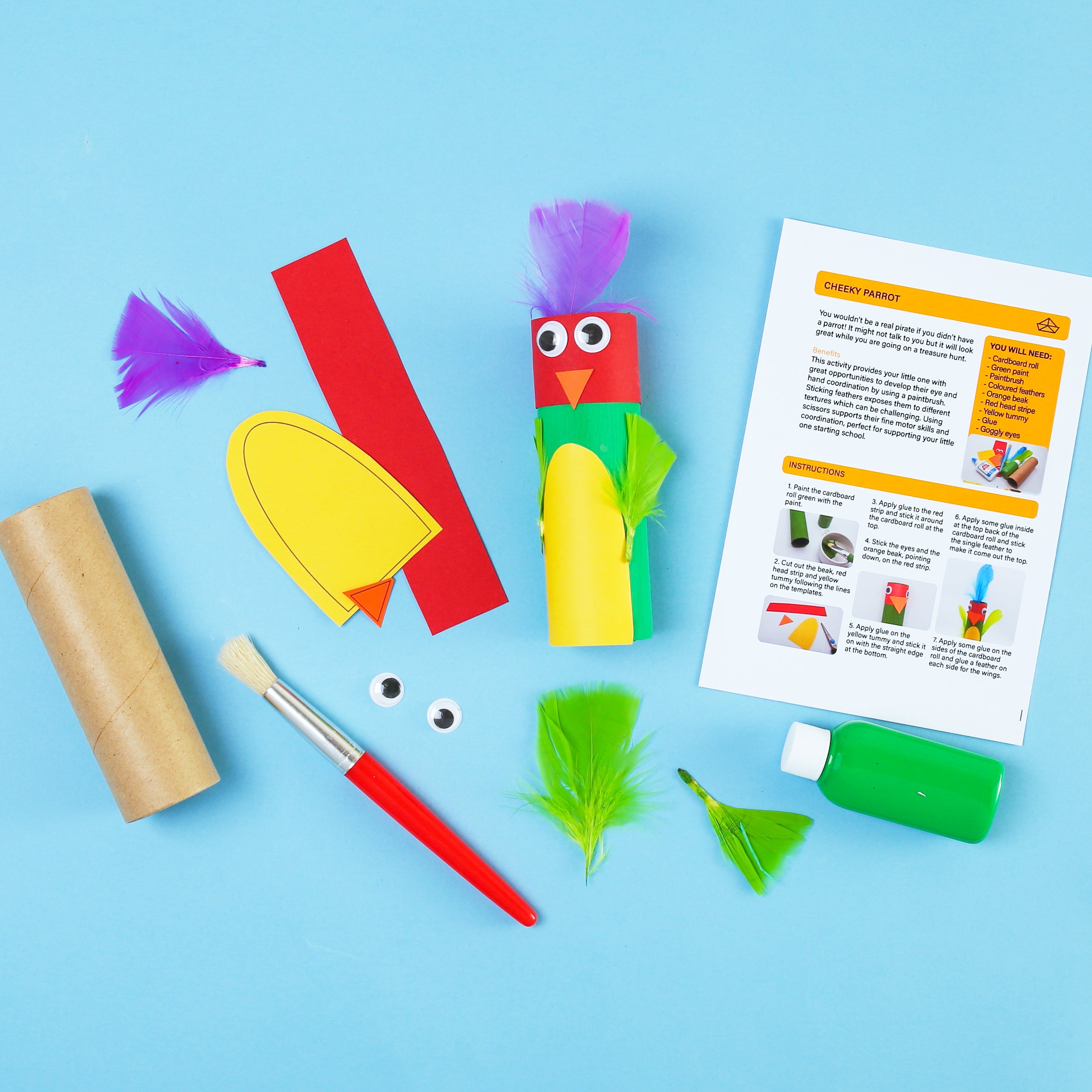 Pirate Activity Kit