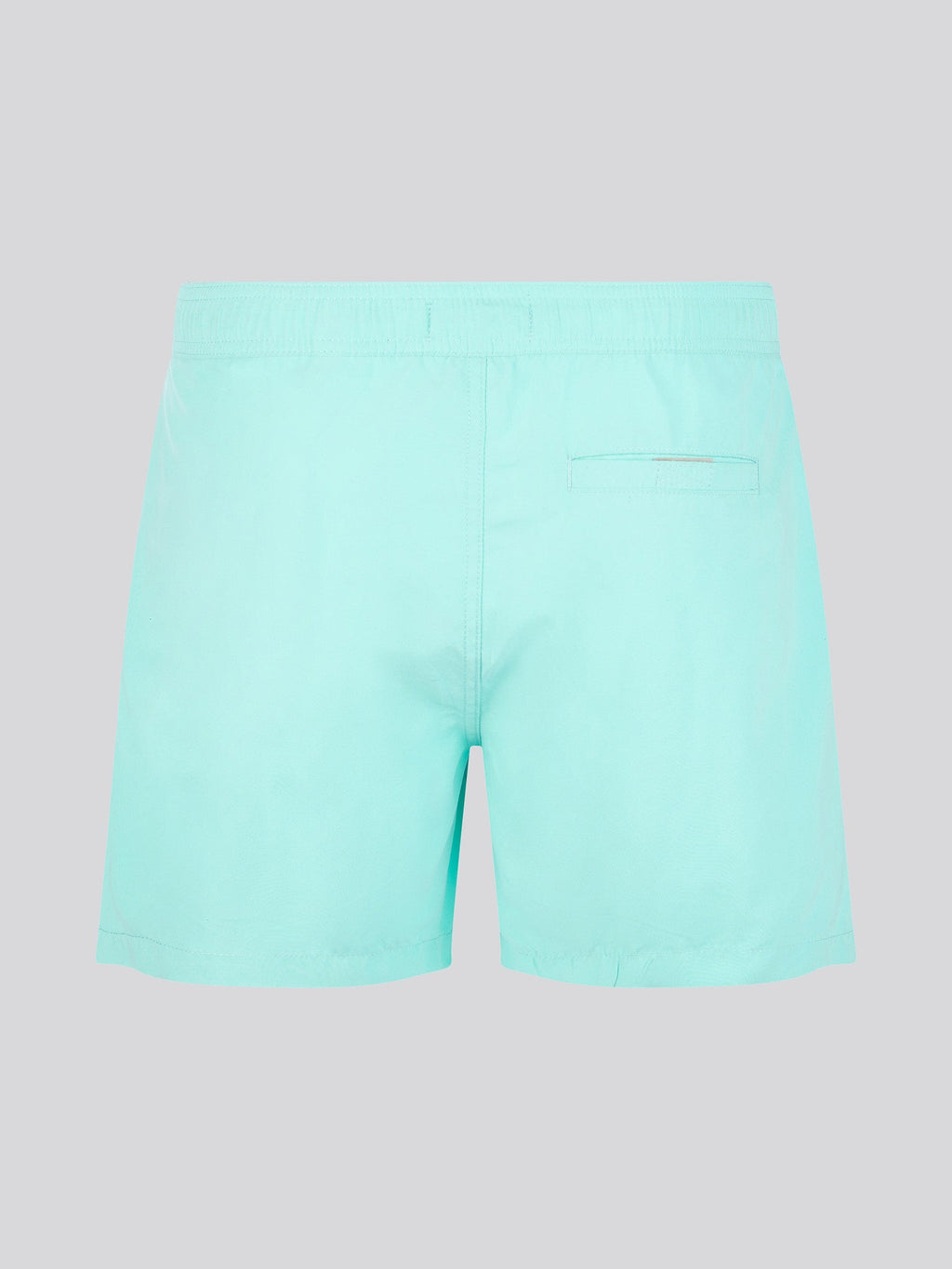 Mens Core Swim Short Pool Blue