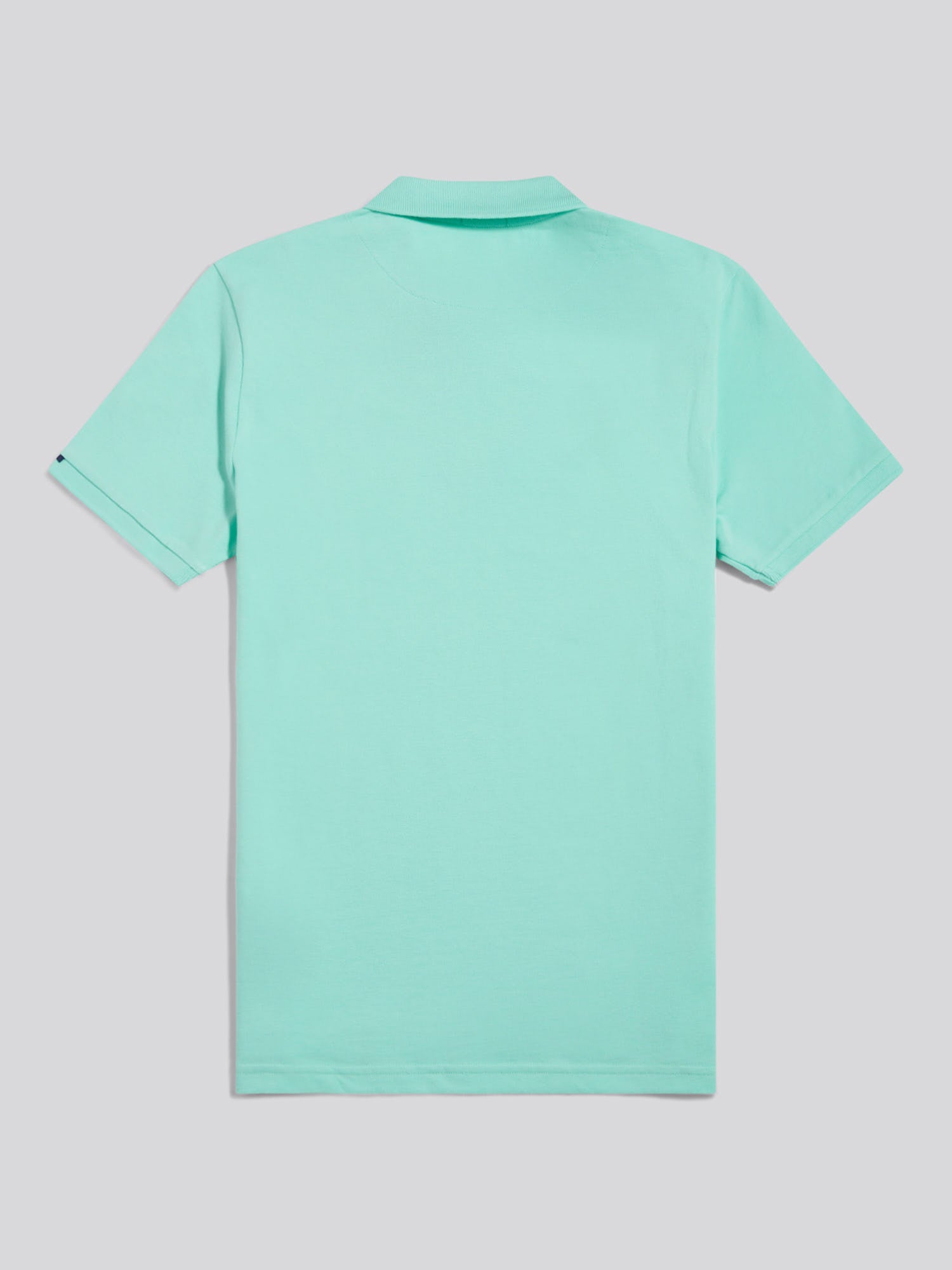Mens Double Horsemen Polo Shirt Ice Green