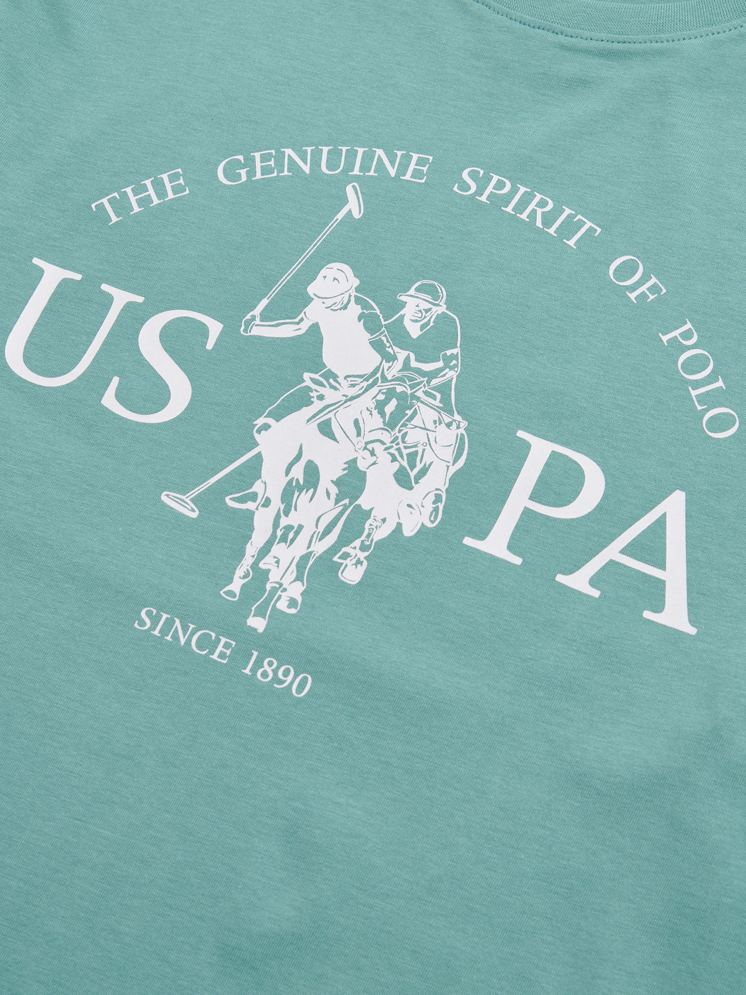 Mens USPA Print Graphic T-Shirt Arctic