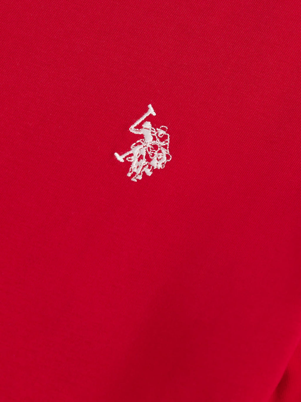 Mens USPA Back Graphic T-Shirt in Haute Red