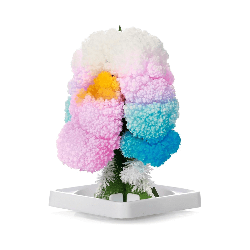 PoundFun Magic Growing Tree – Interactive Educational Science Kit Toy