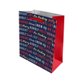 PoundFun Medium Christmas Gift Bag – Festive Holiday Present Packaging