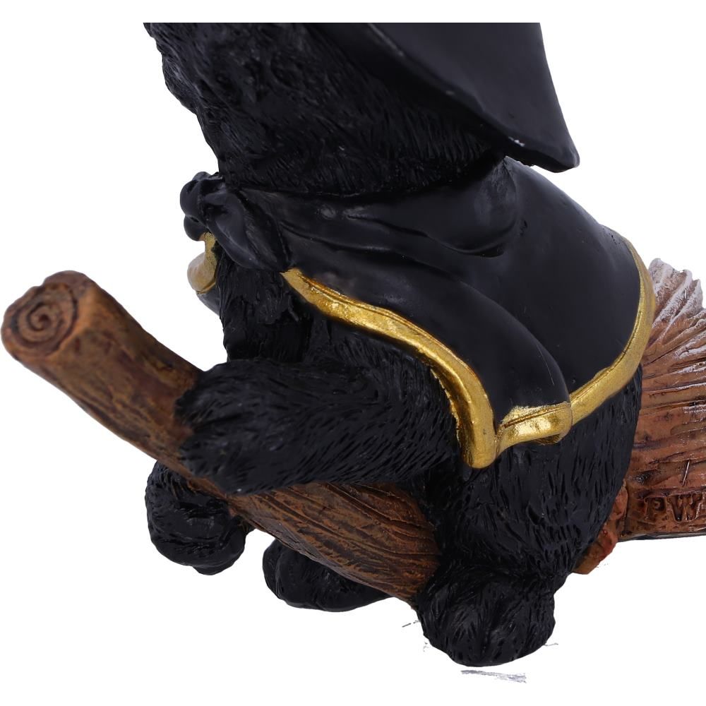 Nemesis Now Coven Keepers Tabitha Black Witch Cat Figurine - 11cm