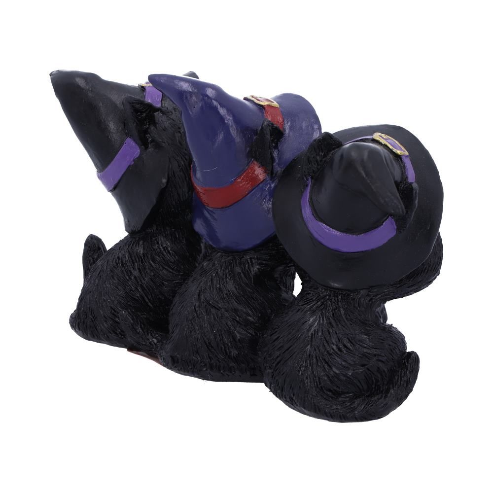 Nemesis Now Three Wise Black Cats | Hand-Painted Gothic Witchy Decor