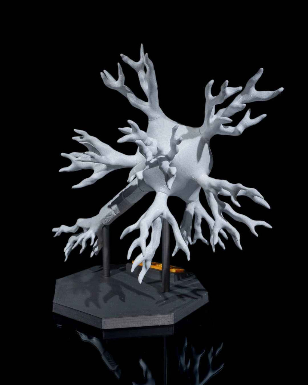 Neural educational model