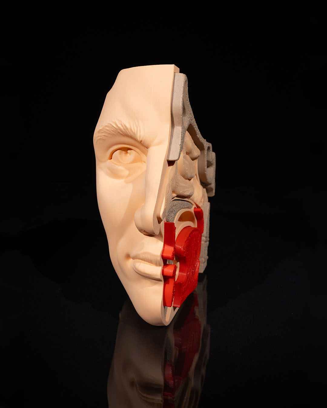 Nose & Sinus educational model