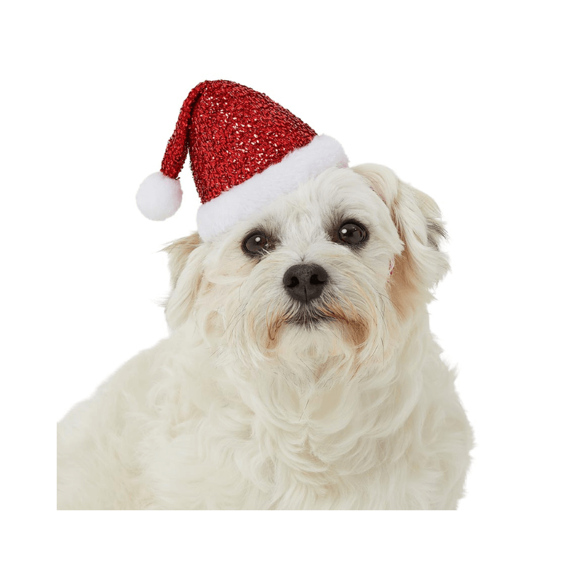 PoundFun Pet Santa Hat – Festive Christmas Costume for Dogs and Cats