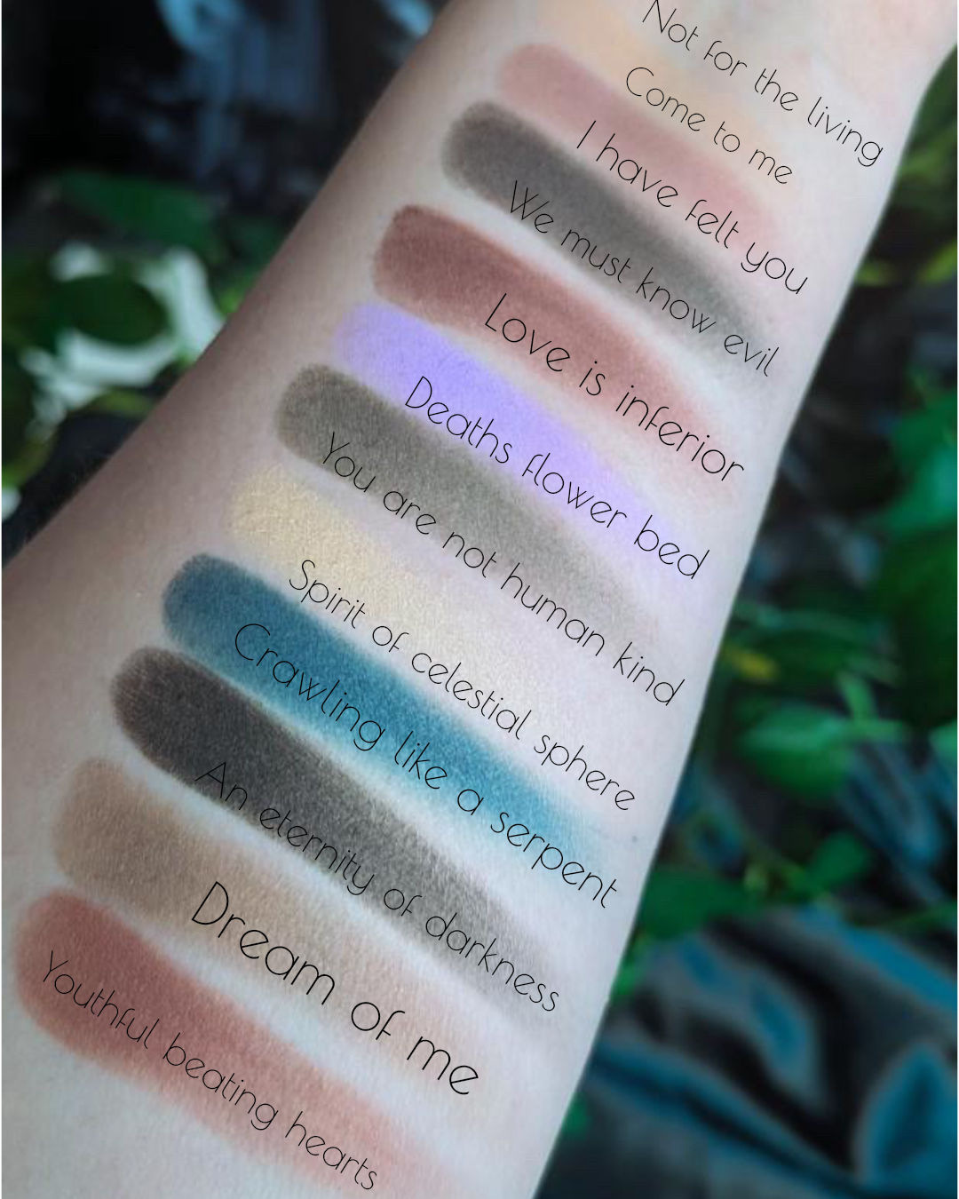 Radioactive Unicorn Nosferatu Palette – 12 Shade Matte Goth Eyeshadow