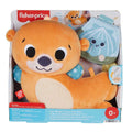 Fisher-Price 2-in-1 Rockin’ Tummy Time Otter Plush Sensory Toy