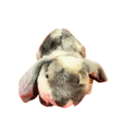 PoundFun Rabbit Plush Teddy – Ultra-Soft Stuffed Animal Toy for Kids