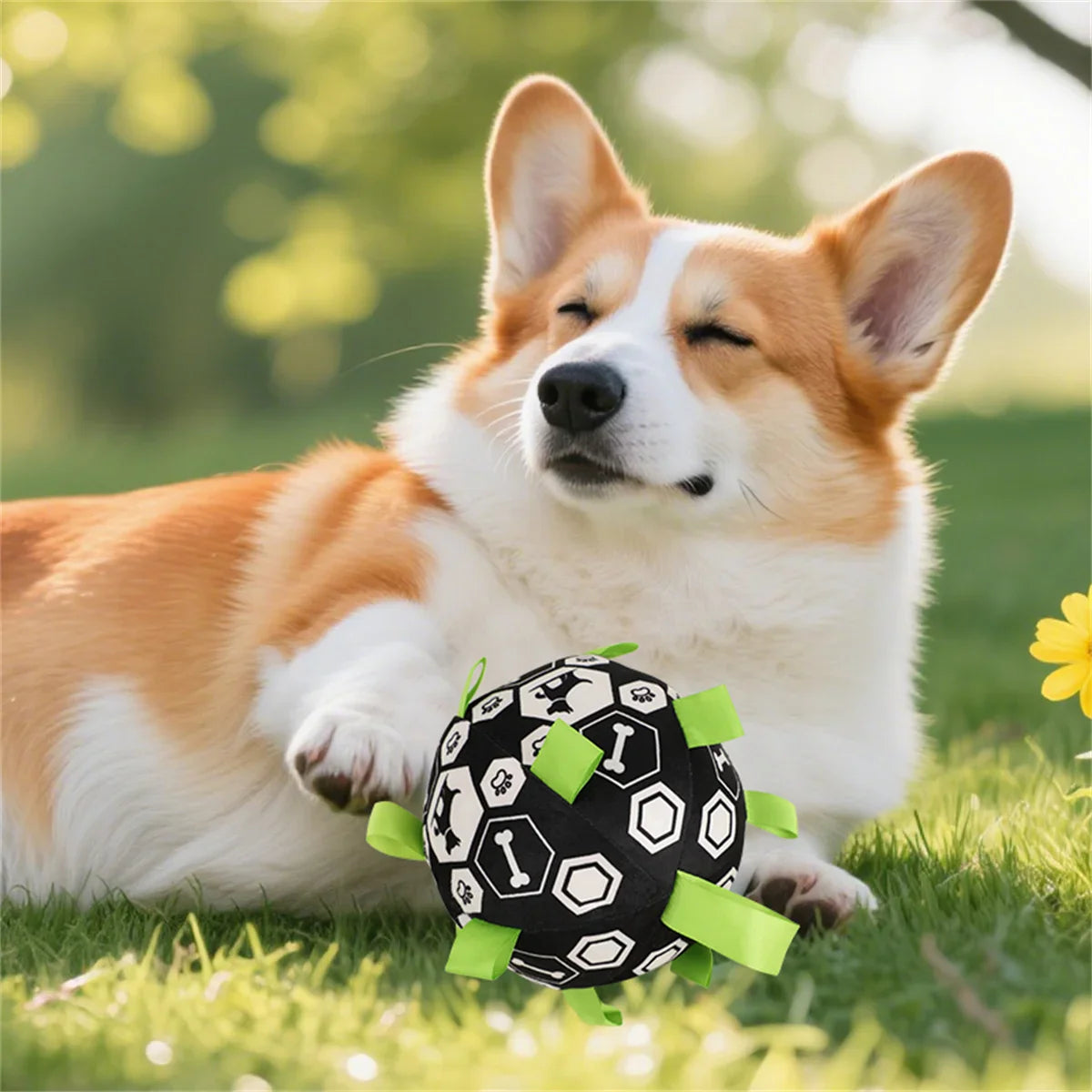 Interactive Dog Bell Ball Toy – Soft Fleece Training & Play Football