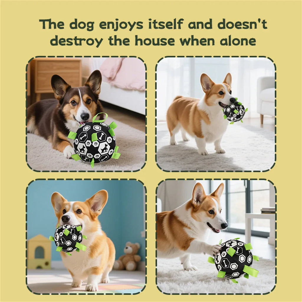 Interactive Dog Bell Ball Toy – Soft Fleece Training & Play Football