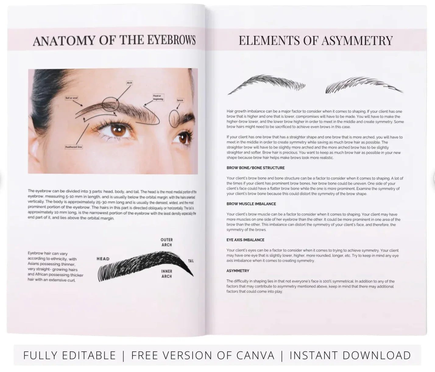 The London Brow Company Eyebrow Mapping Training Manual | Canva Template