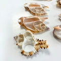Natural Shell Slices - Pack of 20