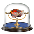 Harry Potter Sorcerer’s Stone Replica Display – Noble Collection