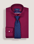 Rich Red Microfiber Dotted Tie