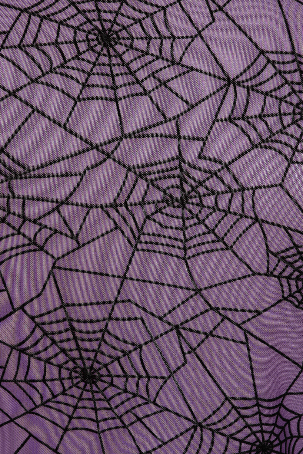Banned Apparel Seraphina Purple Mesh Top – Spiderweb Gothic Crop Top