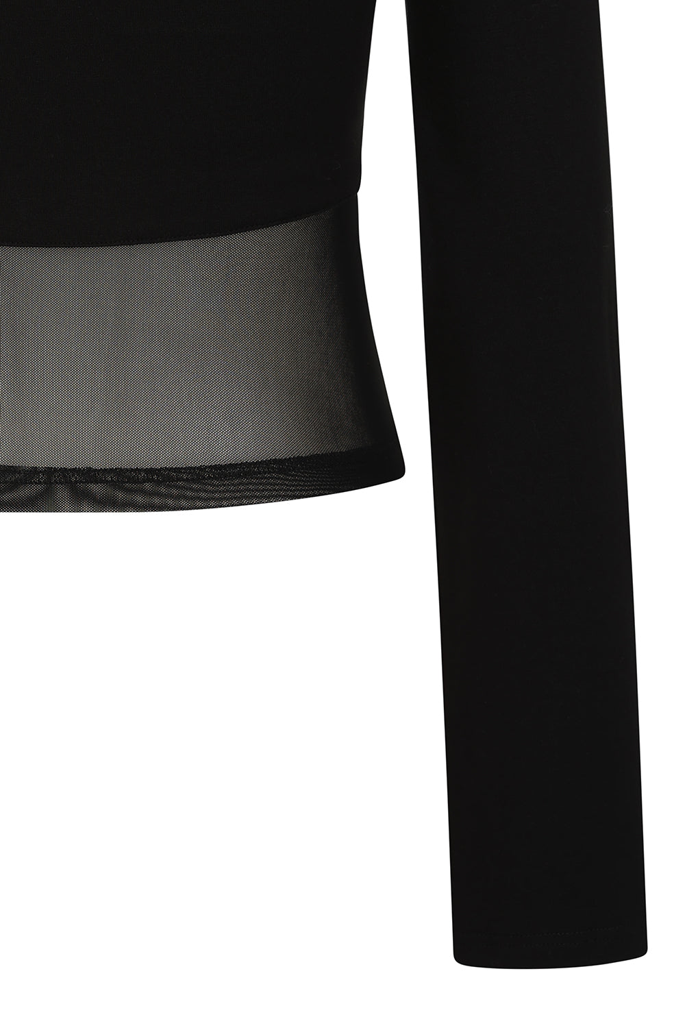 Banned Cordelia Goth Top – Black Sheer Mesh Long Sleeve with D-Ring