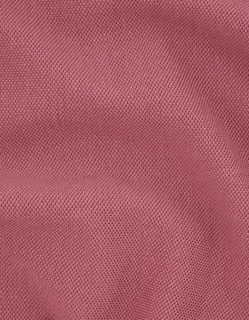 Pink  Regular Fit Cotton Polo Shirt