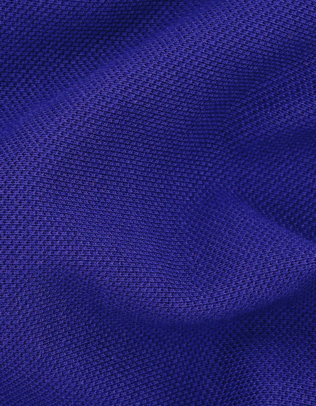 Blue Regular Fit Cotton Polo Shirt