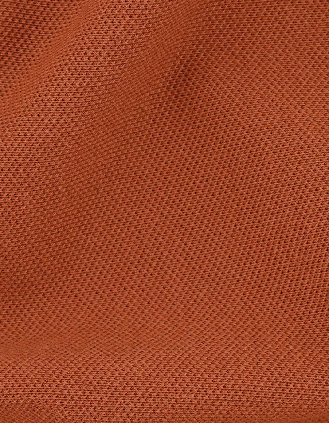 Rust Regular Fit Cotton Polo Shirt