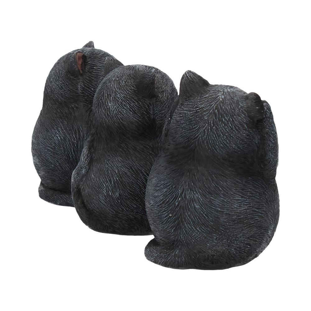 Nemesis Now Three Wise Fat Cats – Set of 3 Hand-Painted Resin Figurines
