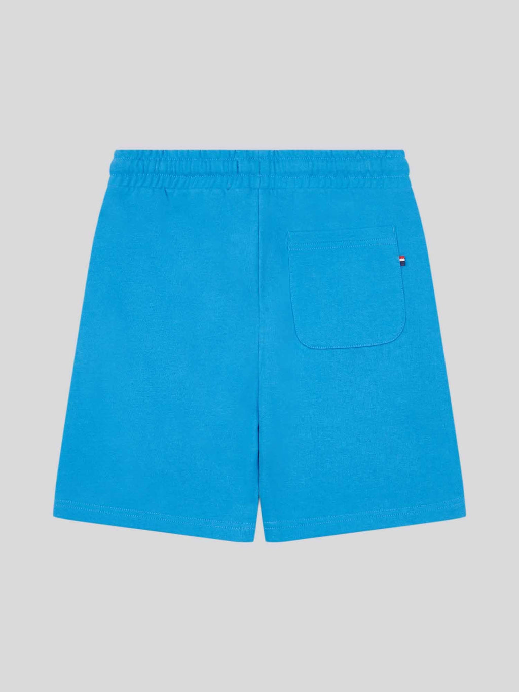 Boys Player 3 Sweat Short in Campanula