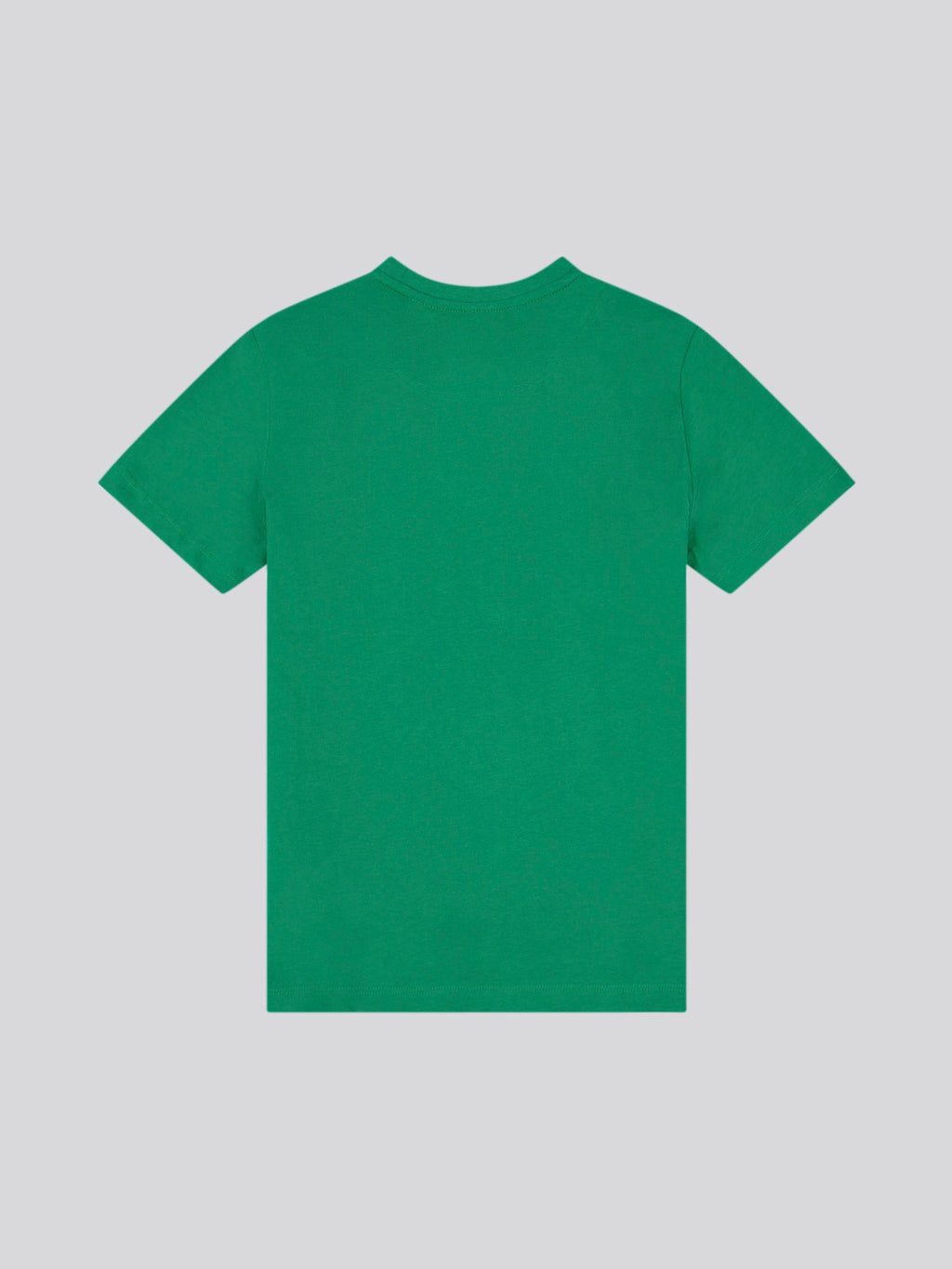 Boys USPA Print Graphic T-Shirt in Lush Meadow