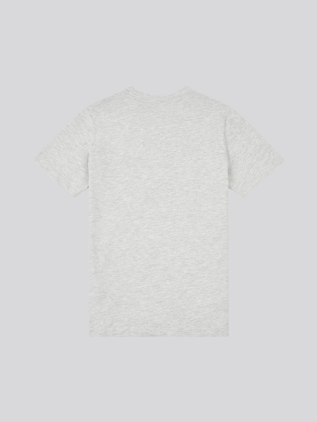 Boys USPA Print Graphic T-Shirt in Mid Grey Marl