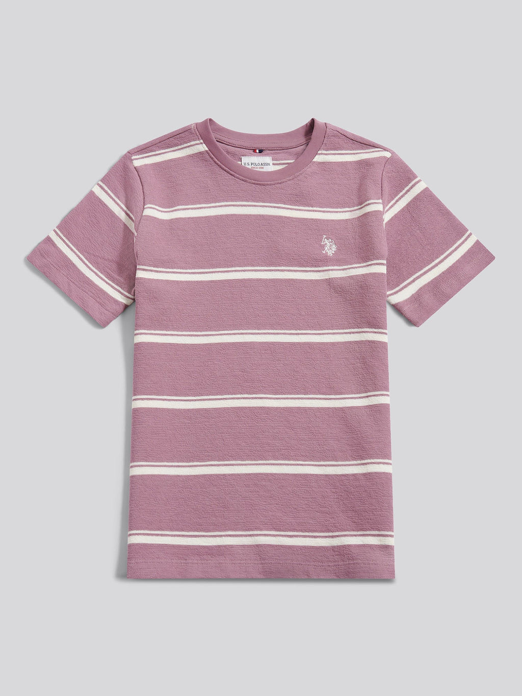 Boys Terry Stripe T-Shirt in Elderberry