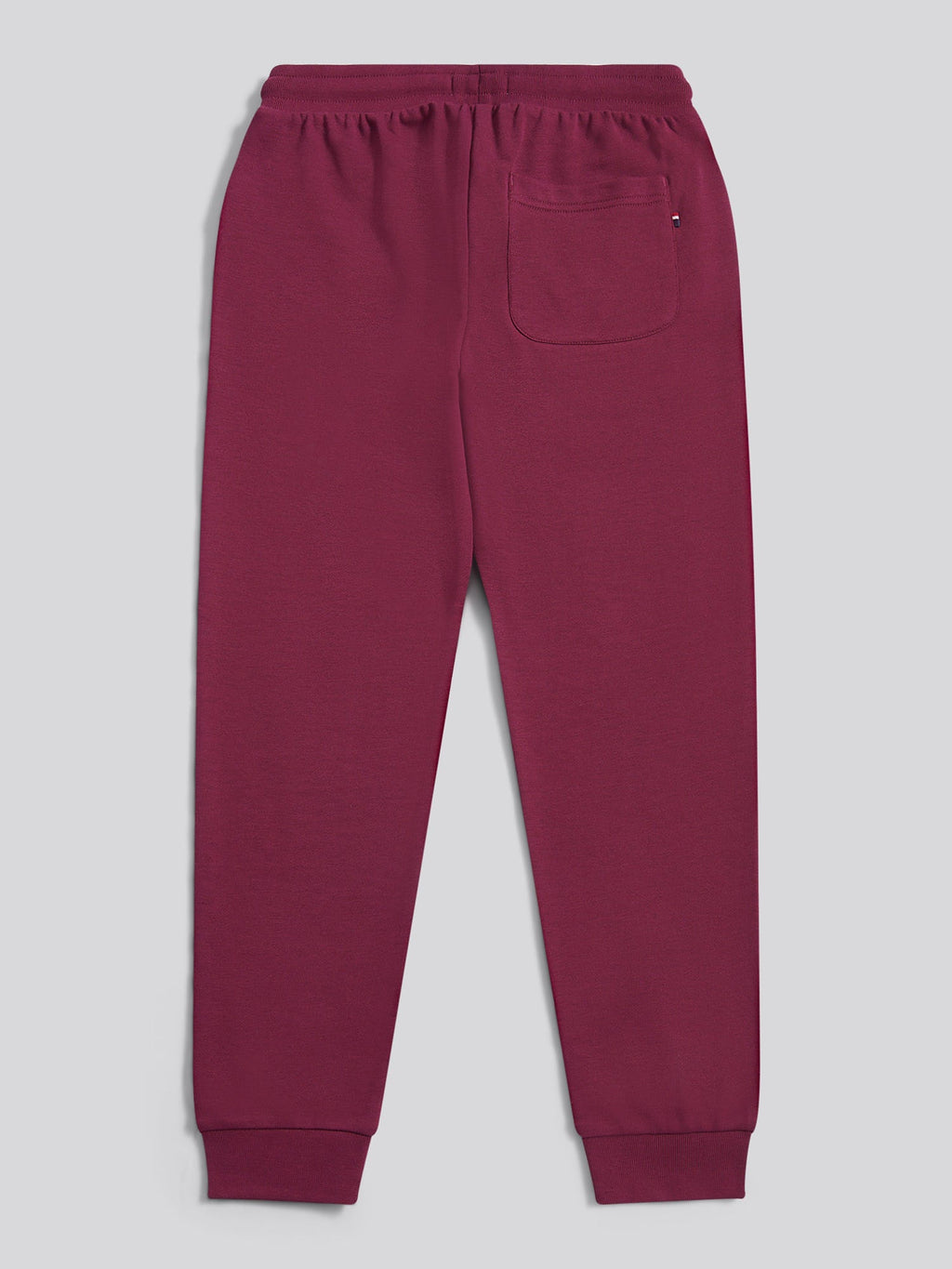 Boys Double Horsemen Loopback Jogger Grape Wine