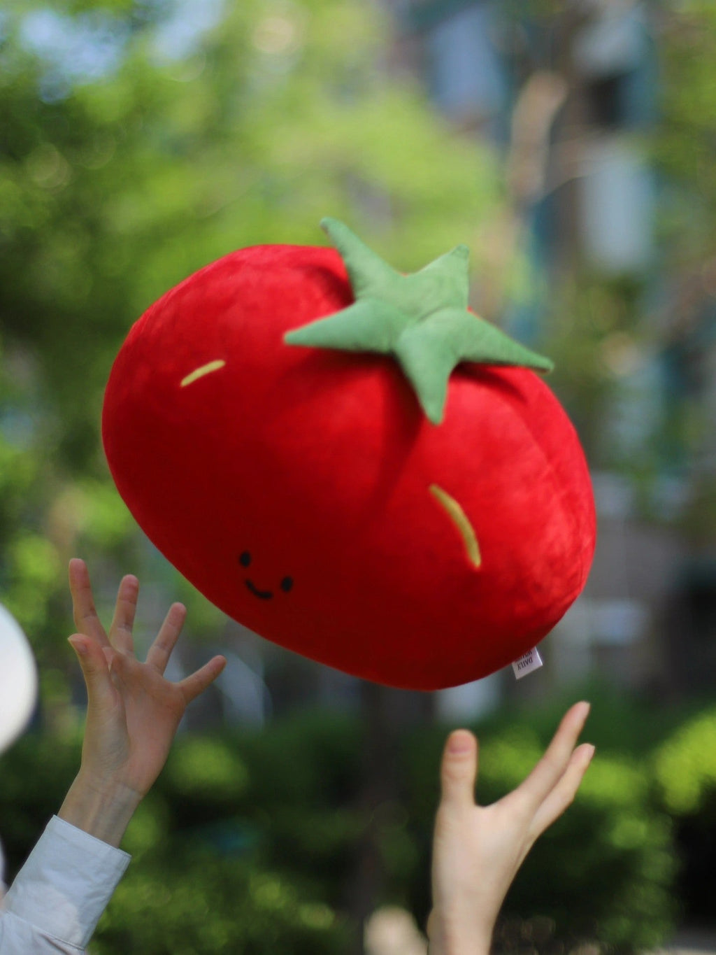 LuLuFun Studio Tomato Plush Pillow – Soft Red Food Cushion Decor
