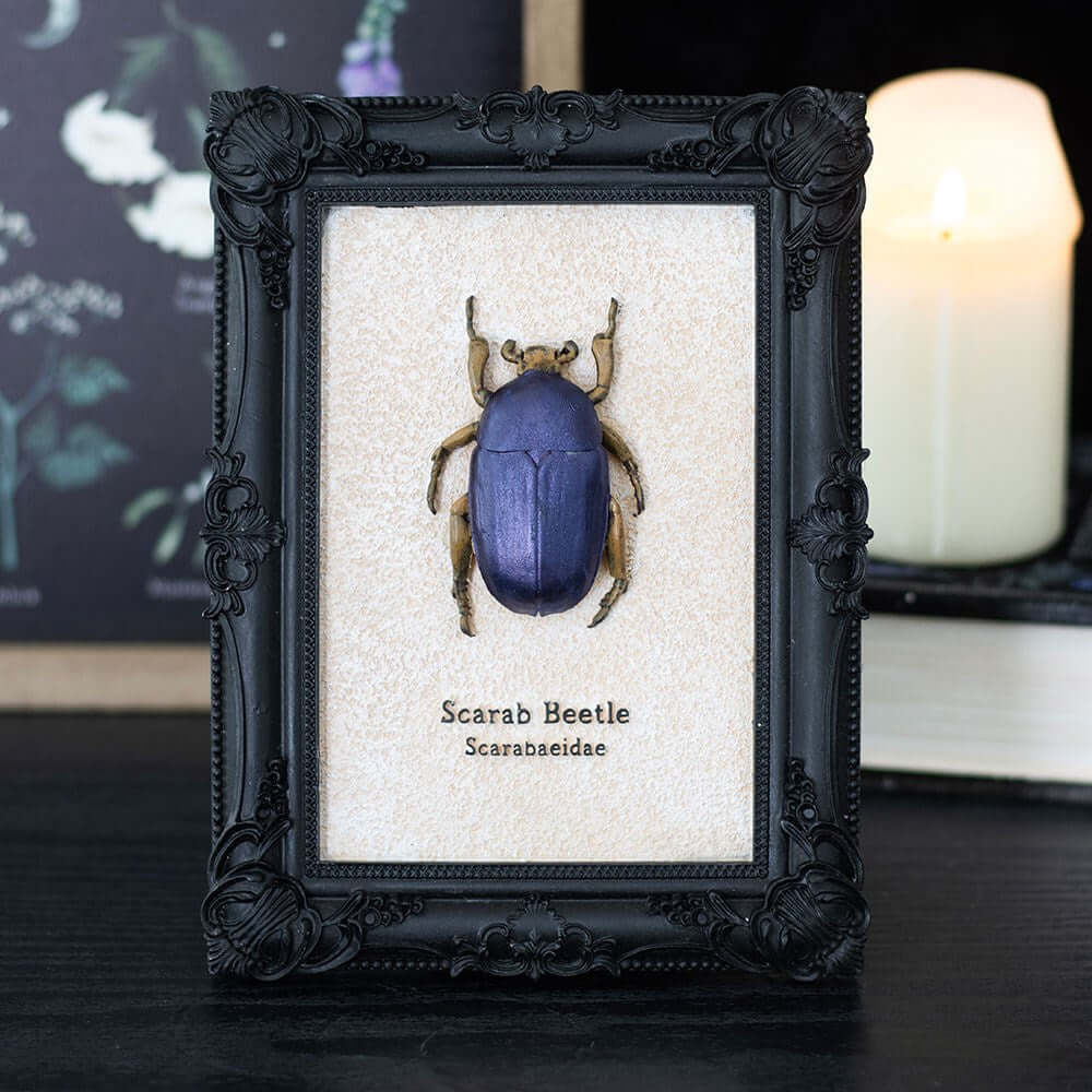 Kate's Clothing Scarab Beetle Framed Wall Art Print – Gothic Decor
