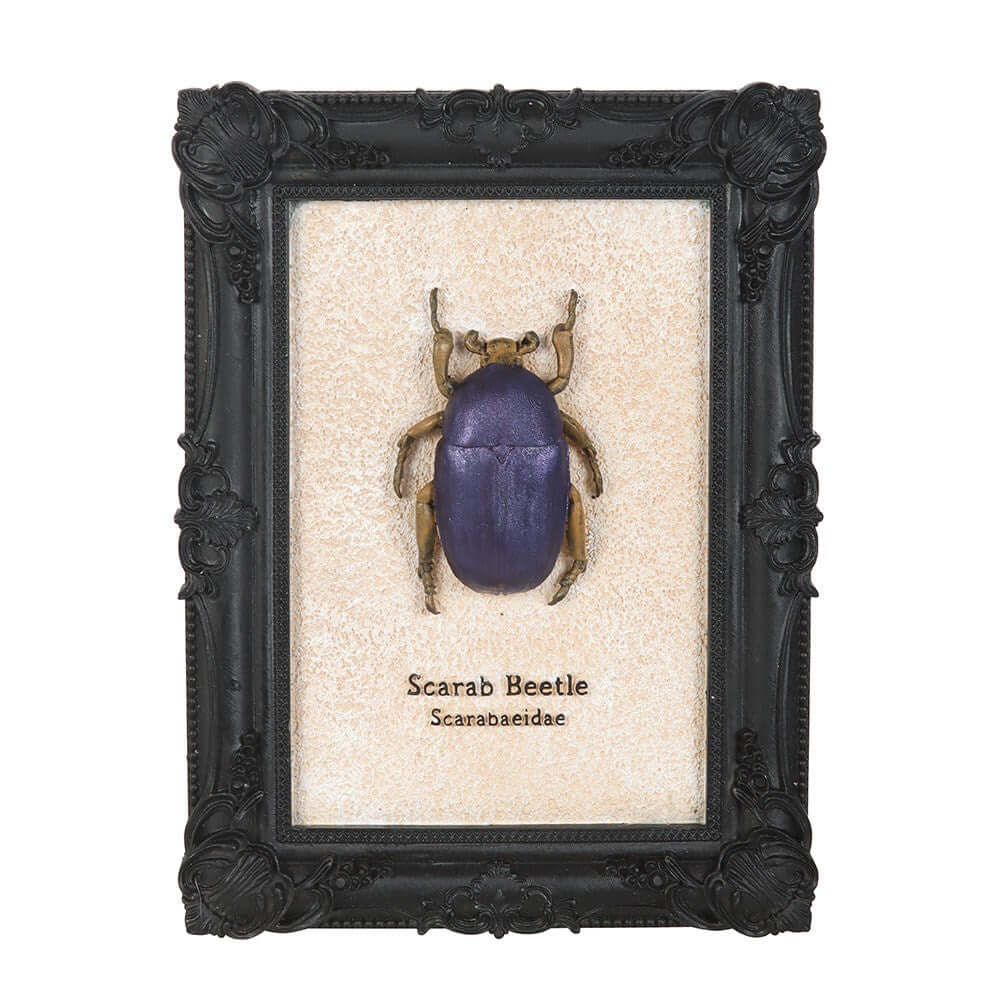 Kate's Clothing Scarab Beetle Framed Wall Art Print – Gothic Decor