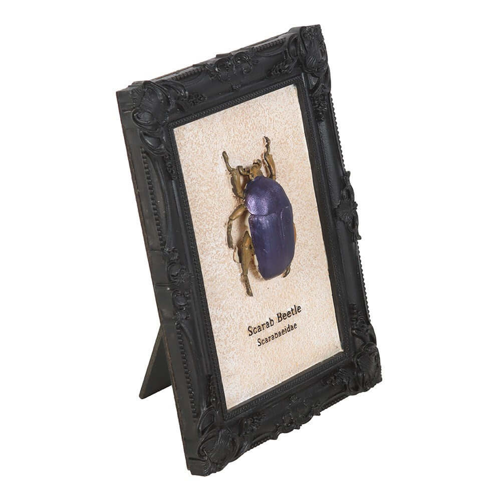 Kate's Clothing Scarab Beetle Framed Wall Art Print – Gothic Decor