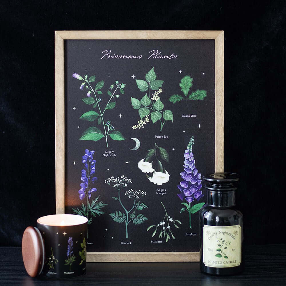 Poisonous Plants Framed Wall Art – Kate's Clothing Gothic Wooden Print