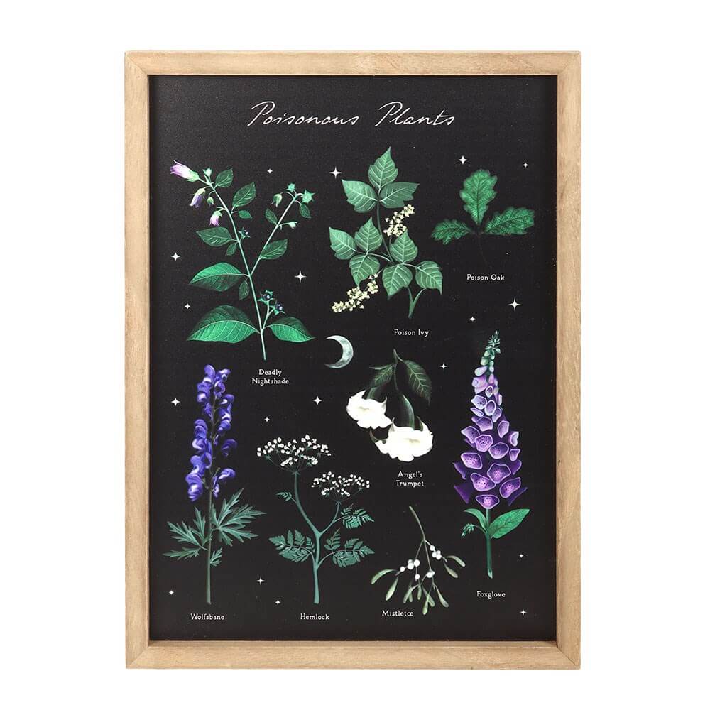Poisonous Plants Framed Wall Art – Kate's Clothing Gothic Wooden Print