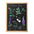 Poisonous Plants Framed Wall Art – Kate's Clothing Gothic Wooden Print