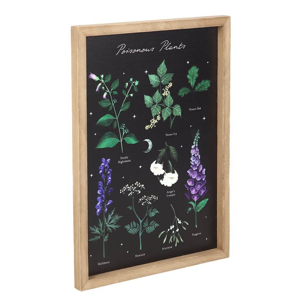 Poisonous Plants Framed Wall Art – Kate's Clothing Gothic Wooden Print