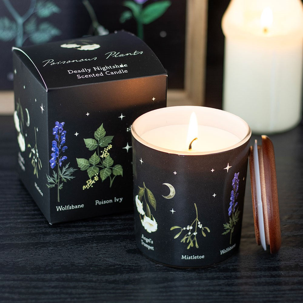 Something Different Deadly Nightshade Poisonous Plants Scented Candle