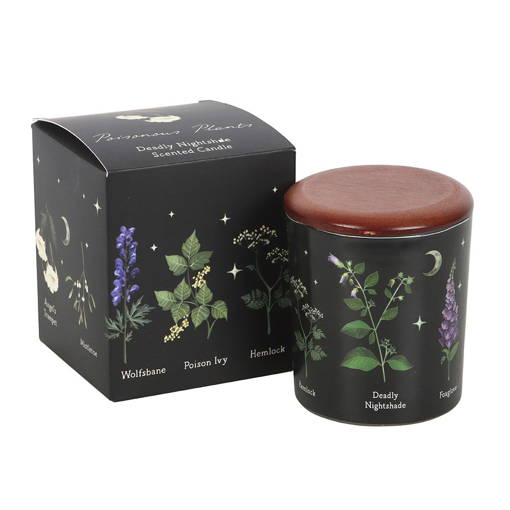 Something Different Deadly Nightshade Poisonous Plants Scented Candle