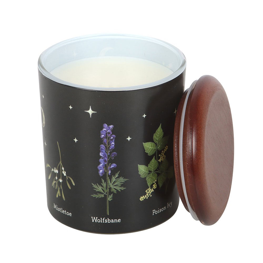 Something Different Deadly Nightshade Poisonous Plants Scented Candle