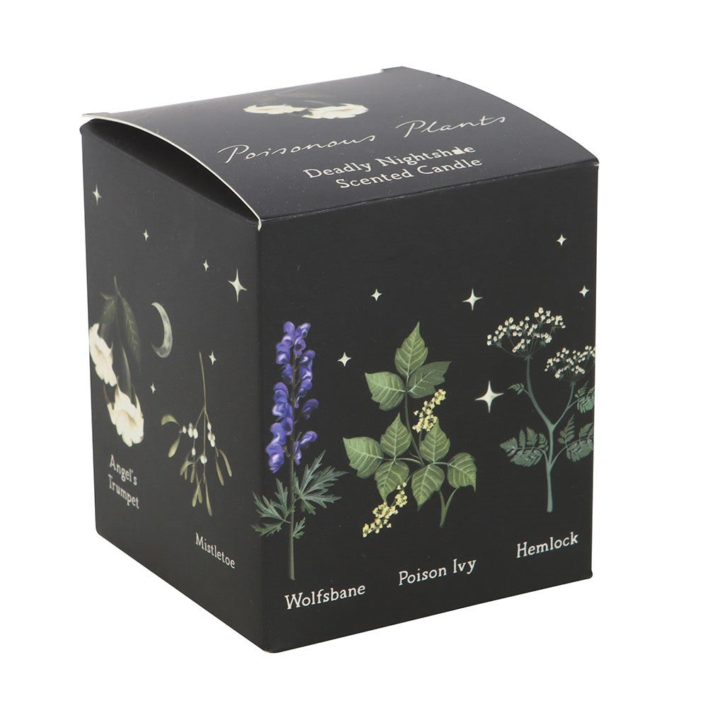 Something Different Deadly Nightshade Poisonous Plants Scented Candle