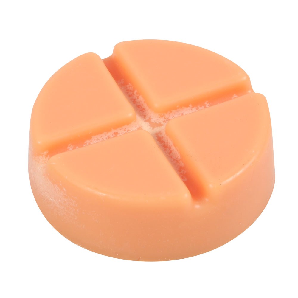 Kate's Clothing Spiced Pumpkin Soy Wax Melt Disc – Vegan Gothic Scent