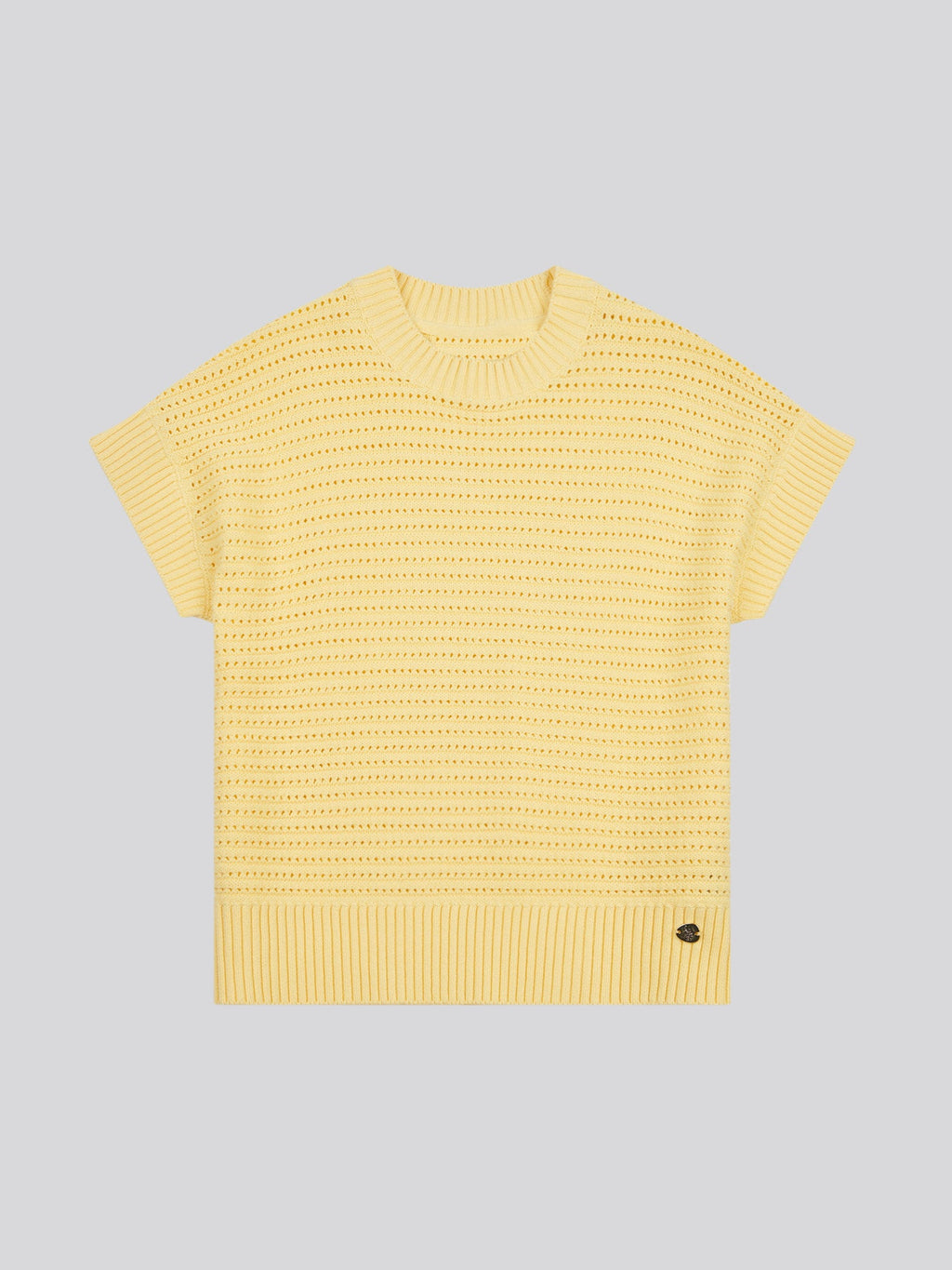 Womens Open Knit Short Sleeve Jumper in Mellow Yellow