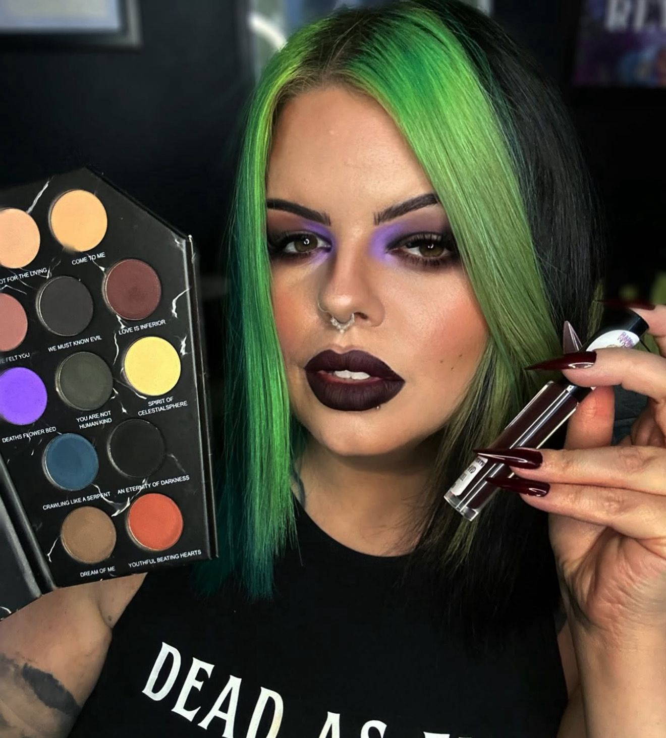 Radioactive Unicorn Nosferatu Palette – 12 Shade Matte Goth Eyeshadow