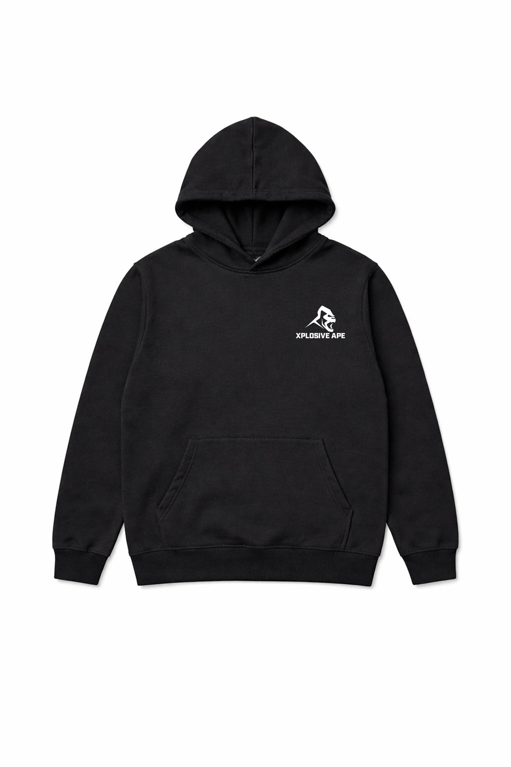 XAPE De-Evolve Hoodie - Black